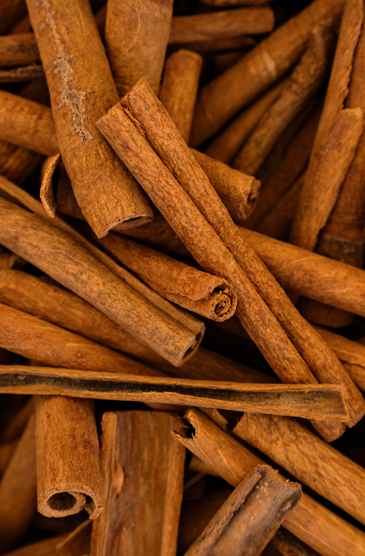 Cinnamon / Cassia Bark / Dalachini / Taj