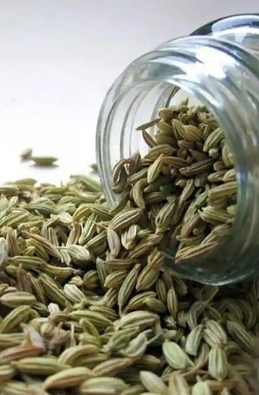 Fennel / Saunders / Variyali