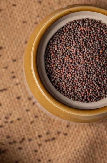 Mustard Seeds / Rai